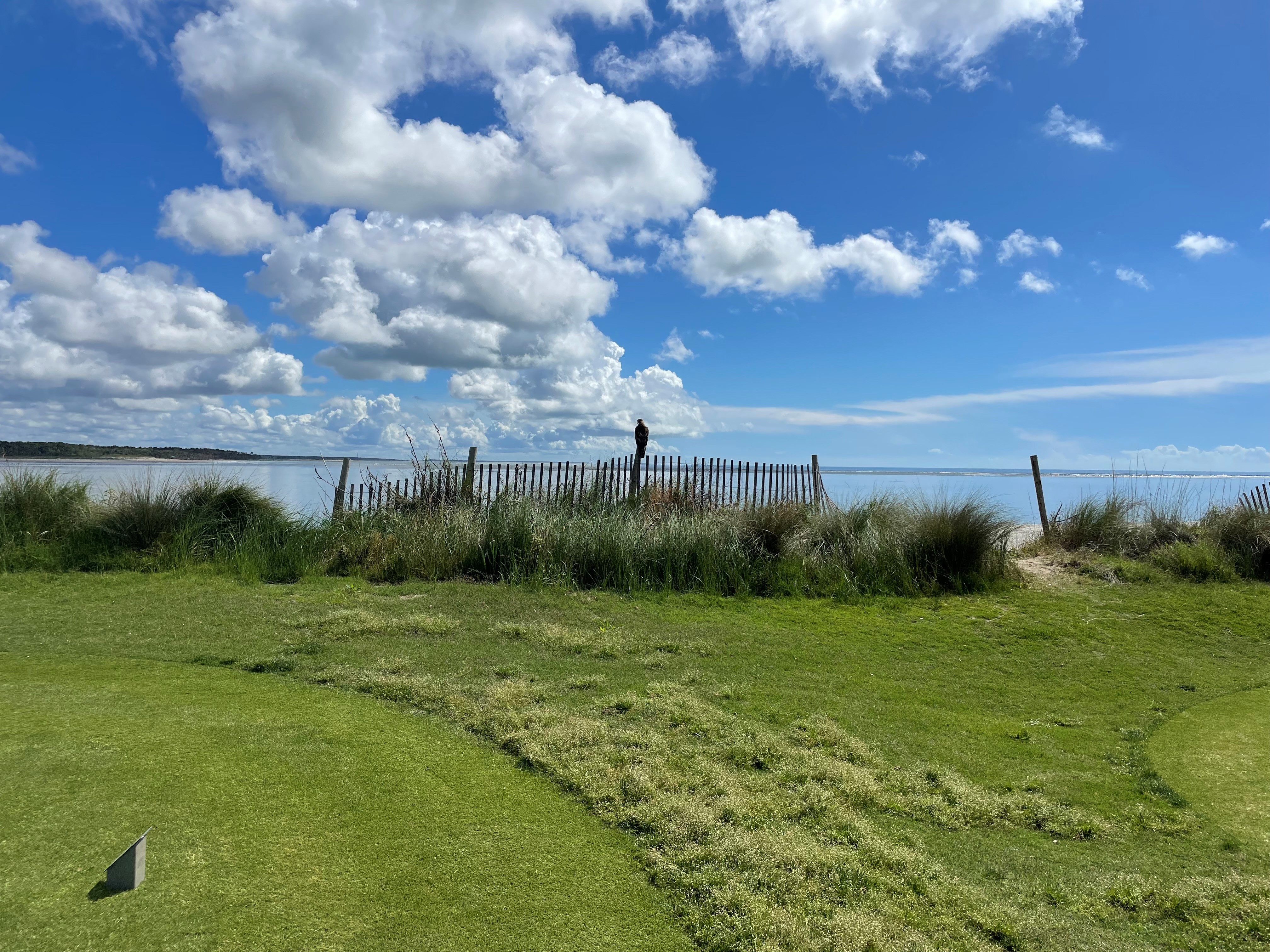 Wild Dunes members celebrating an eagle at Dewey's
